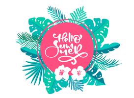 Text Hello summer in geometric floral exotic leaves frame vector