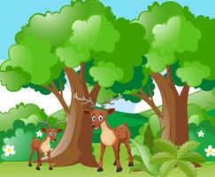 Deer and little fawn in forest vector