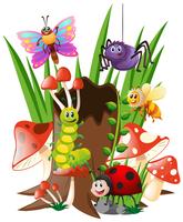 Many insects in garden vector