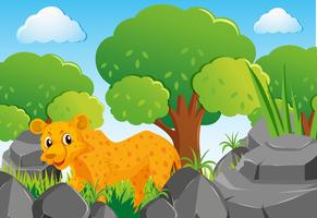 Cheetah in the forest vector