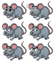 Rat with different facial expressions vector