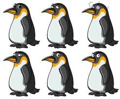 Pingüinos con diferentes expresiones faciales. vector