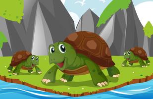 Turtles living by the river vector