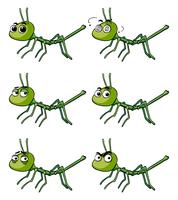 Insecto palo con diferentes emociones. vector