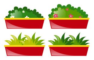 Four pot of flowers and grass vector