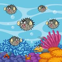 Pufferfish swimming under the ocean vector