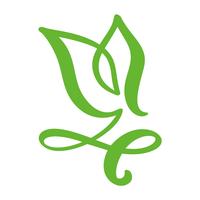 Logotipo de la hoja verde del té. Icono de vector de elemento de naturaleza ecología. Bio vegano caligrafía bio dibujado a mano ilustración