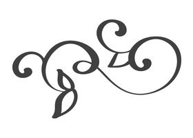 Dibujados a mano florecen elementos de caligrafía. Ilustración vectorial vector
