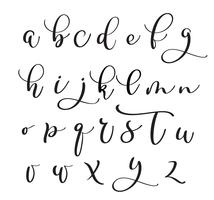 Brushpen alphabet. Modern calligraphy, handwritten letters. Vector illustration
