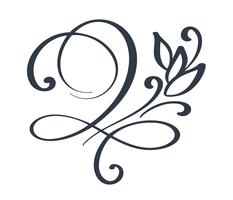 Flourish swirl ornate decoration for pointed pen ink calligraphy style vector