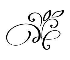 hand drawn flourish Calligraphy elements. Vector illustration