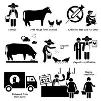 Natural Organic Food Meat Beef Chicken Poultry Stick Figure Pictogram Icons. vector