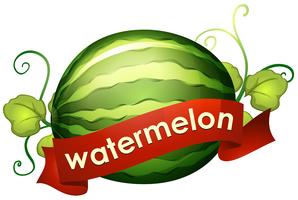 Watermelon with red banner  vector