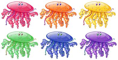 Jellyfish in six different colors vector