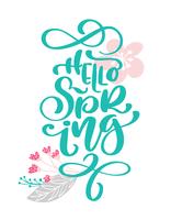 Hello Spring Hand drawn text and design for greeting card vector