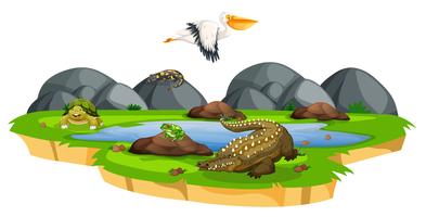 Animals near pond scene vector