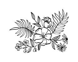 modern flowers drawing and sketch  vector