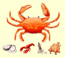 Different kind of seafood vector