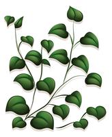 Leaves vector