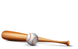 Wooden bat and baseball vector