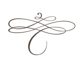 Dibujado a mano separador florecer elementos de diseño de caligrafía vector