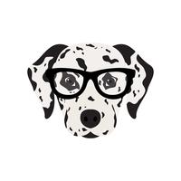 Dalmatian dog in glasses.  vector