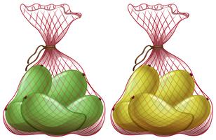 Fresh mangoes in net bags vector