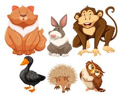 Los animales vector