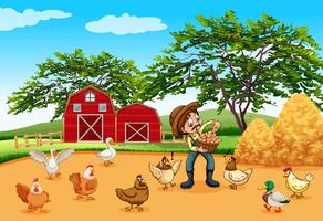 Agricultor con gallinas y huevos. vector