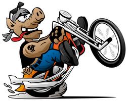 Cerdo del motorista haciendo estallar un wheelie en una ilustración de vector de dibujos animados motocicleta