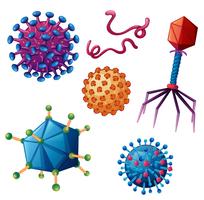 Different types of viruses on white background vector