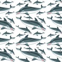 Un patrón sin costuras de delfines. vector