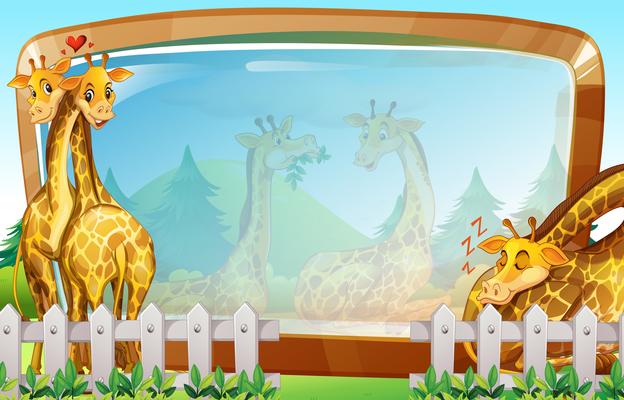Frame template with giraffe in park
