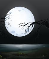 A Scary Dark Night Scene vector