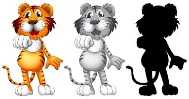 Conjunto de caracteres de tigre. vector