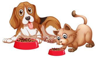 Dog and cat eating vector