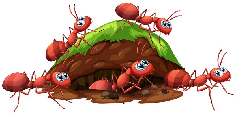 ants cartoon