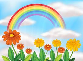 Flower Garden and Beautiful Rainbow vector