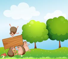 Hedgehogs and wooden sign in the field vector