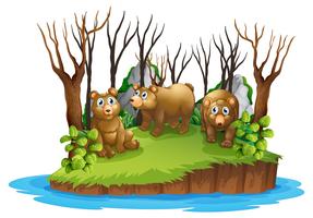 Bear on isolated island vector