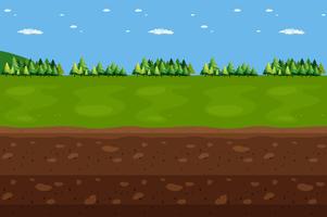 Forest Panorama Landscape and Underground vector