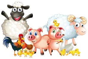 Many types of farm animals vector