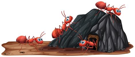 Una familia de hormigas viviendo en el agujero vector