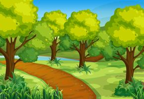 Park with green trees and hiking track vector