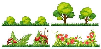 Set of decoration plant vector