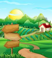 Scene with vegetable field and farmyard vector