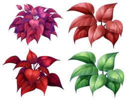 Un conjunto de plantas de colores vector