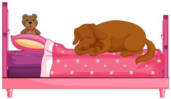 Dog slepping on pink bed  vector