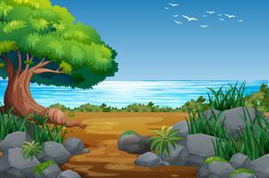 Riverside View with Forest Landscape vector