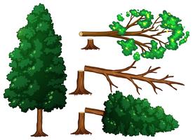 A Set of Tree Being Cut vector